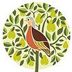 partridge in a pear tree